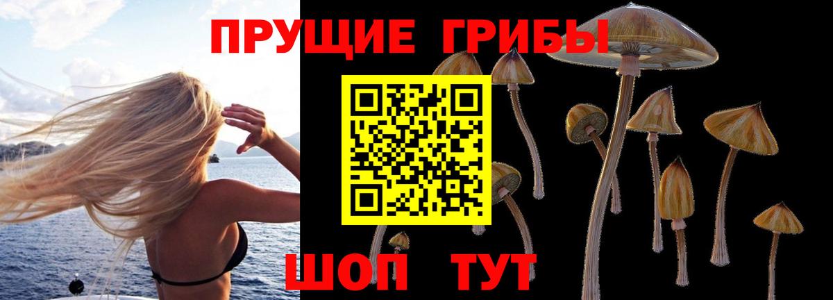 Галлюциногенные грибы Magic Shrooms  Галлюциногенные грибы прущие грибы  Вход с VPN  Троицк 